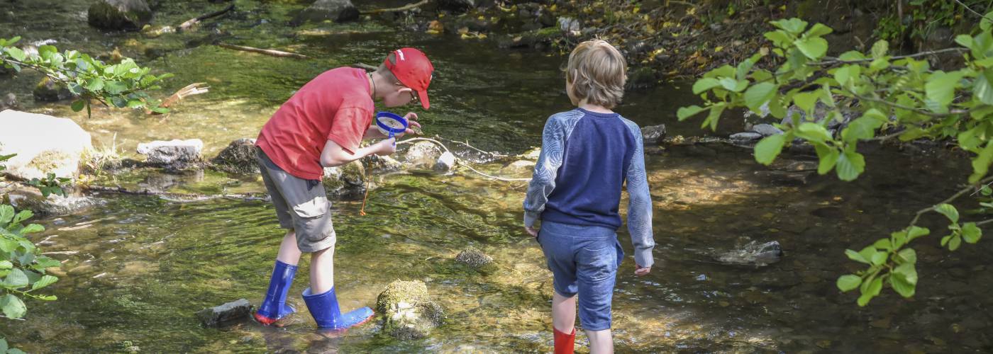 Natuuractiviteit Natuuractiviteit